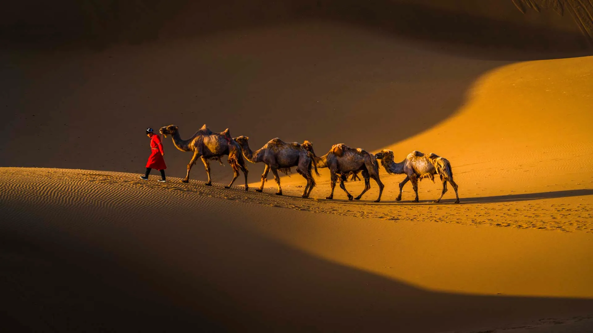 The Camel Procession