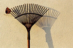 Rake and Leaf - Click to enlarge